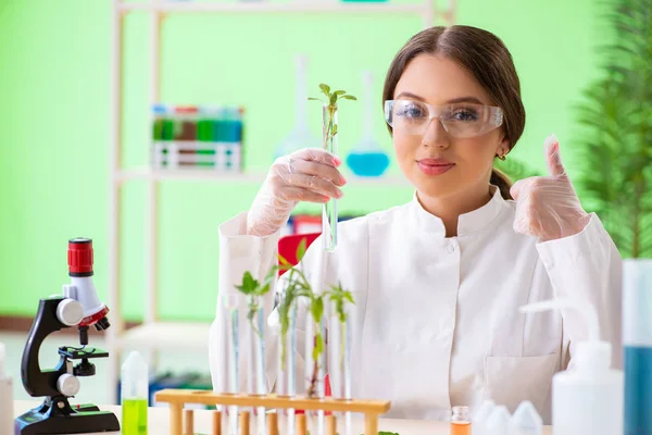 🧬 BİYOLOJİ DERSİNE NASIL ÇALIŞILIR?